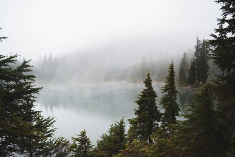 霧の湖 | インフォミント